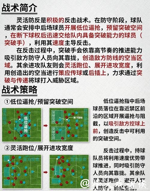 深入解析世界杯球队比赛战术与精彩对决